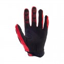 FOX PAWTECTOR GLOVE [BLK/RD]