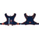 REPLICA TEAM ERZBERG HYDRATION PACK